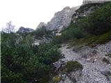 Lago Scin - Rifugio Faloria